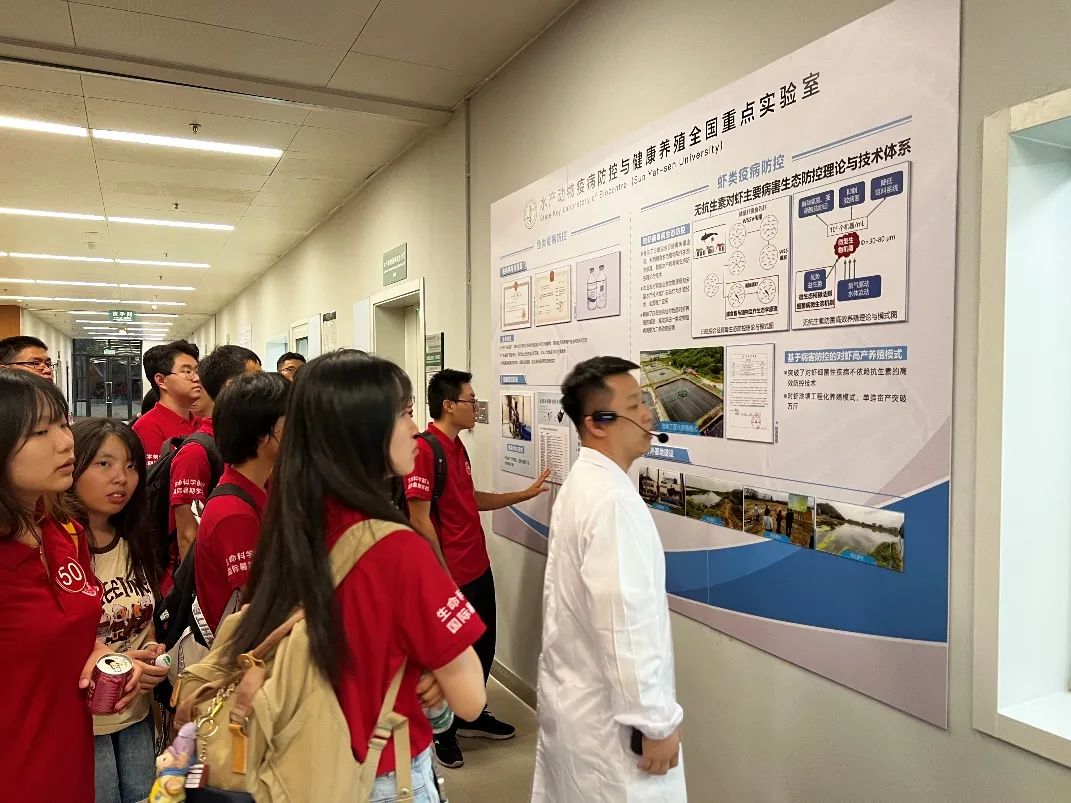 image-20240201203621-8